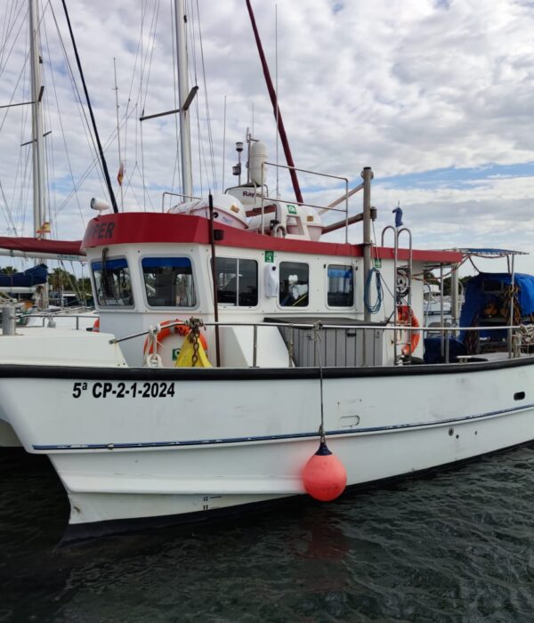IMG-20240610-WA0007