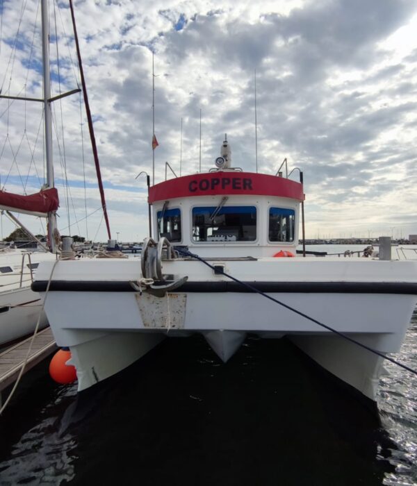 IMG-20240610-WA0009
