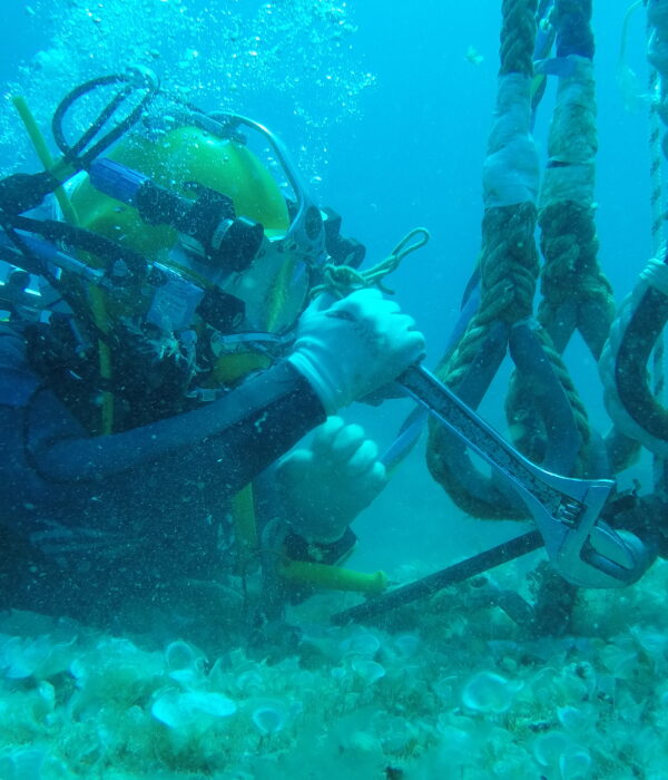 DCIM100GOPROGOPR2769.