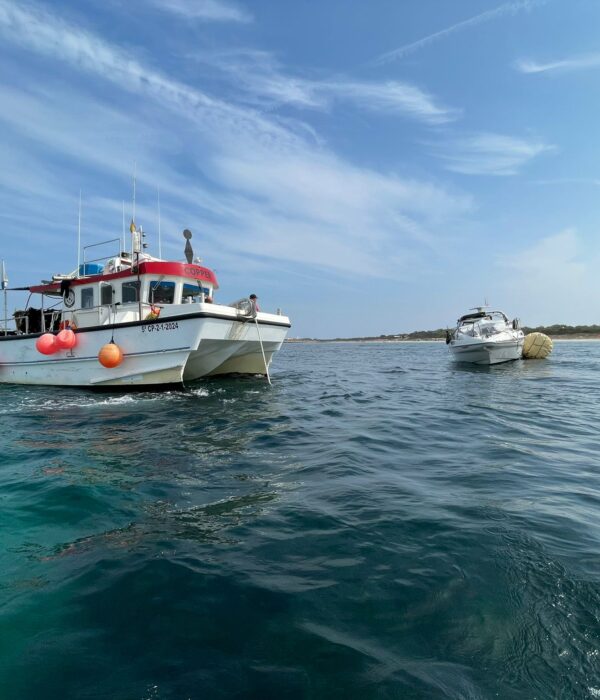 tsub_galeria008